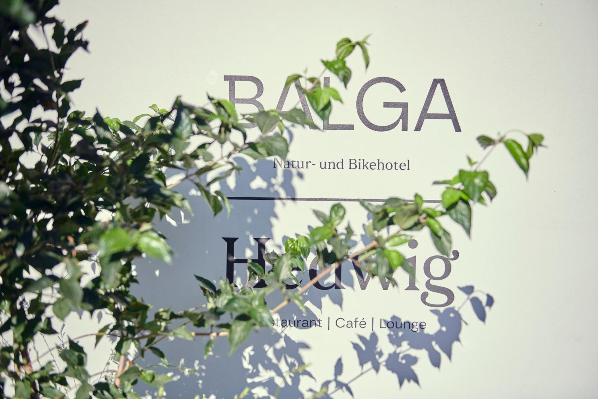 Hotel Balga Natur- Und Bikehotel Balgach Dış mekan fotoğraf